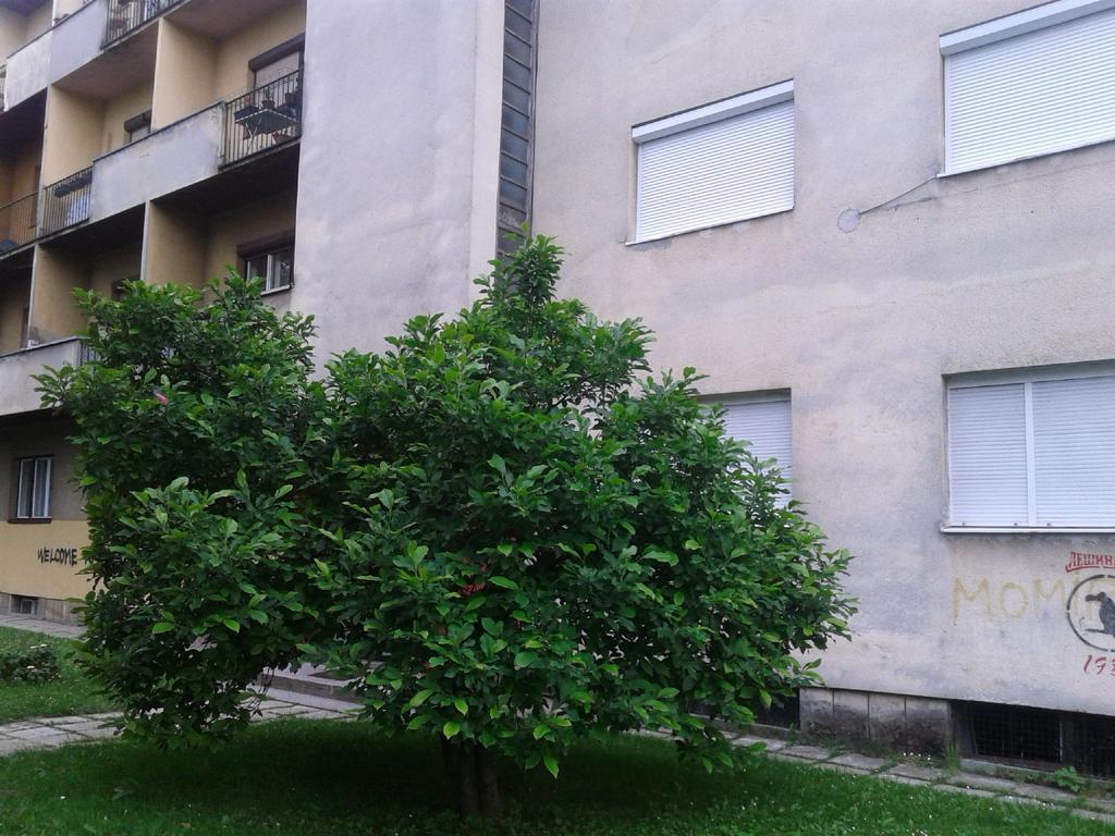 Apartment Ma 2 , 3 Rd Floor Banyaluka Dış mekan fotoğraf